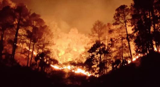 Fire in the forests of Uttarakhand