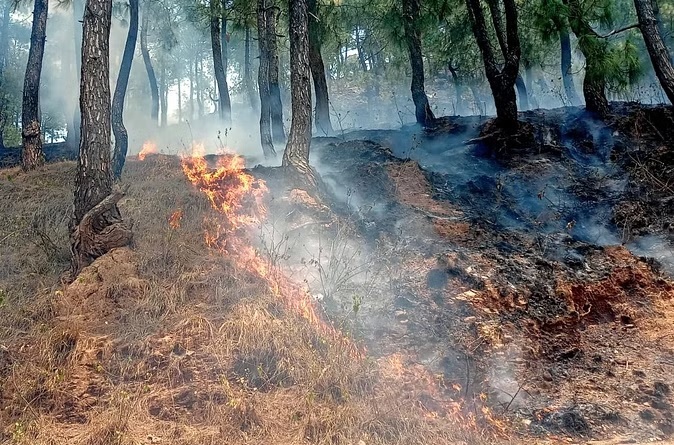 Fire in the forests of Uttarakhand